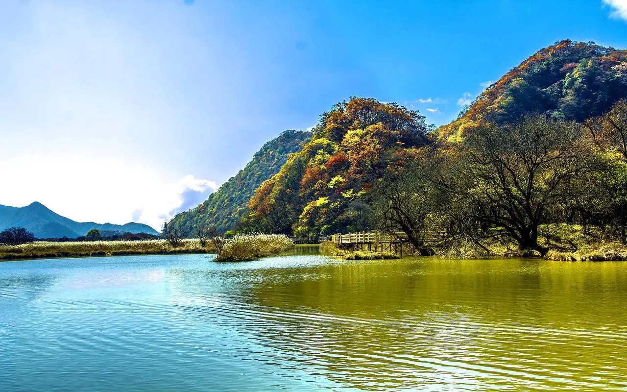 创新高性能